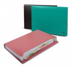 File folder with erasers Forpus, A4, plastic, green, 12 compartments