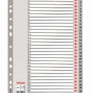 Divider Esselte PP, A4, numbers 1-31, plastic