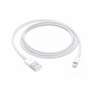 Apple Lightning to USB Cable (1m)