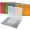 Folder with rubbers Forpus, A4, plastic, capacity 150 sheets, transparent