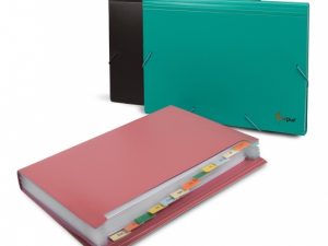 File folder with rubbers Forpus, A4, plastic, black, 12 compartments 0816-024