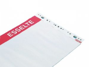 Pad for conferences Esselte, 59x80 cm, 60 g white (50) 0715-008