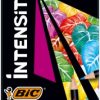 BIC Coloring pencils Intensity 12 colours 951844