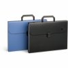 Folder-portfolio, file folder Forpus, A4, black, 12 + 1 compartments 0822-005